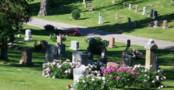 Laurel Cemetery Association